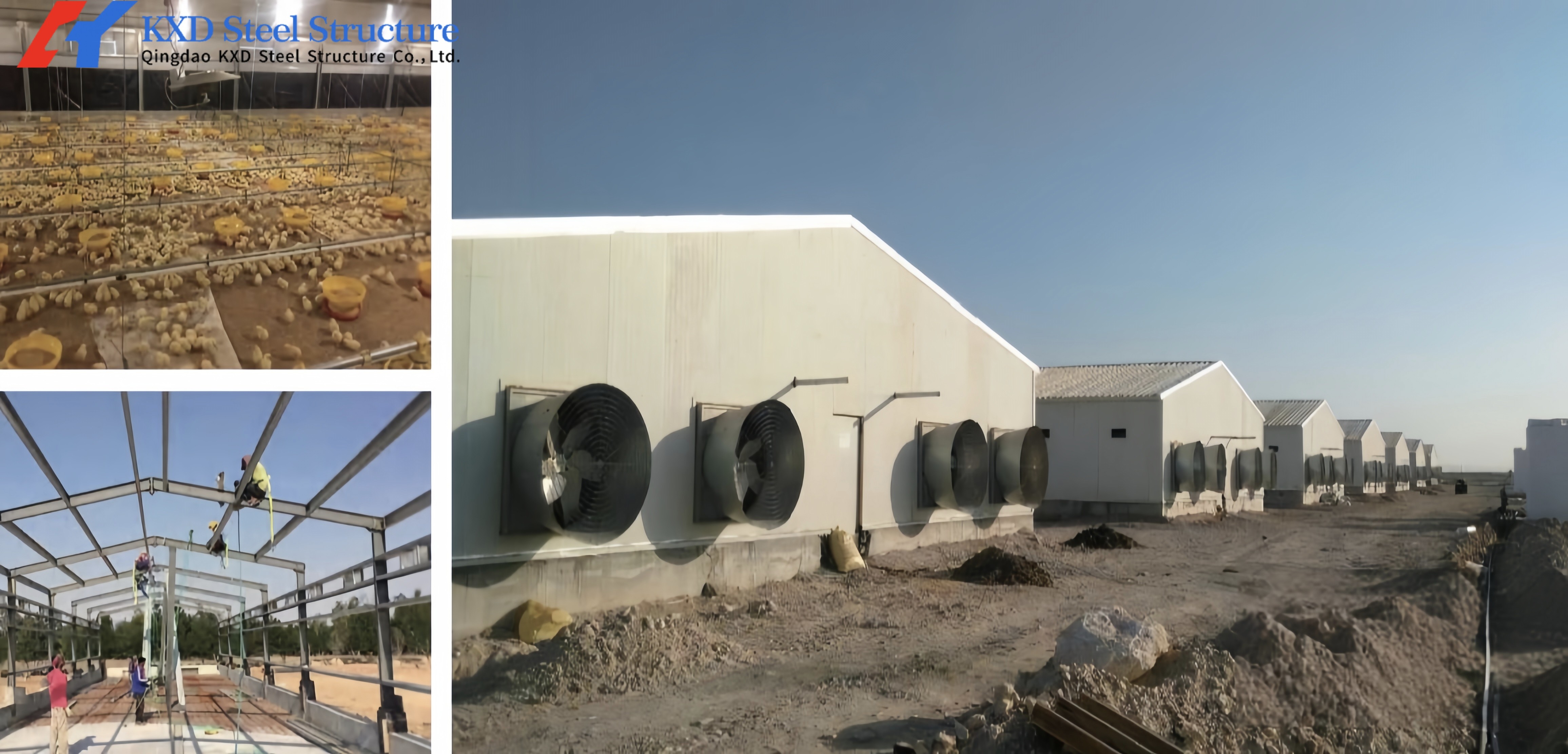 Poultry Farm Chicken Feeding Line Automatic Poultry Pan Feeding System