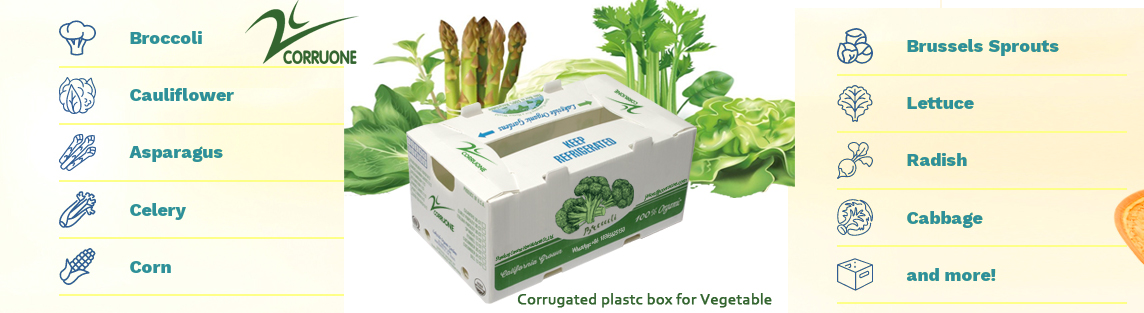 Embossing PP Vegetable Corrugated Boxes Rice Meat Corflute Box