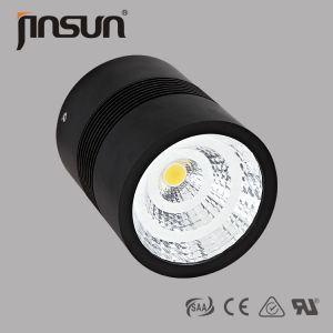  15W 1200 lumens high power of led surface mounted led downlight with SAA&amp;TUV certificate Manufactures