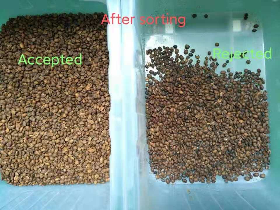 Coffee Beans Color Sorter , Electronic Colour Sorter 384 Channels 6 Chutes