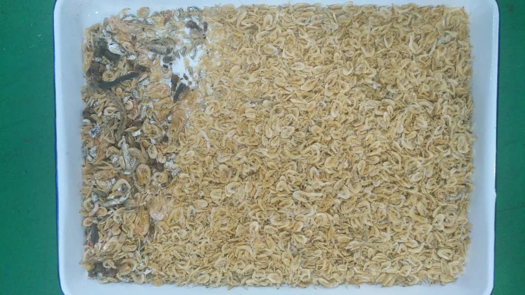 WENYAO 2022 Latest Intelligent 1 Chute Grain Seeds Nuts Tea Color Sorter Separator