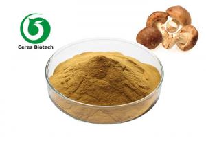  Health Care Pharmaceutical Shiitake Mushroom Extract 40% Polysaccharide Manufactures