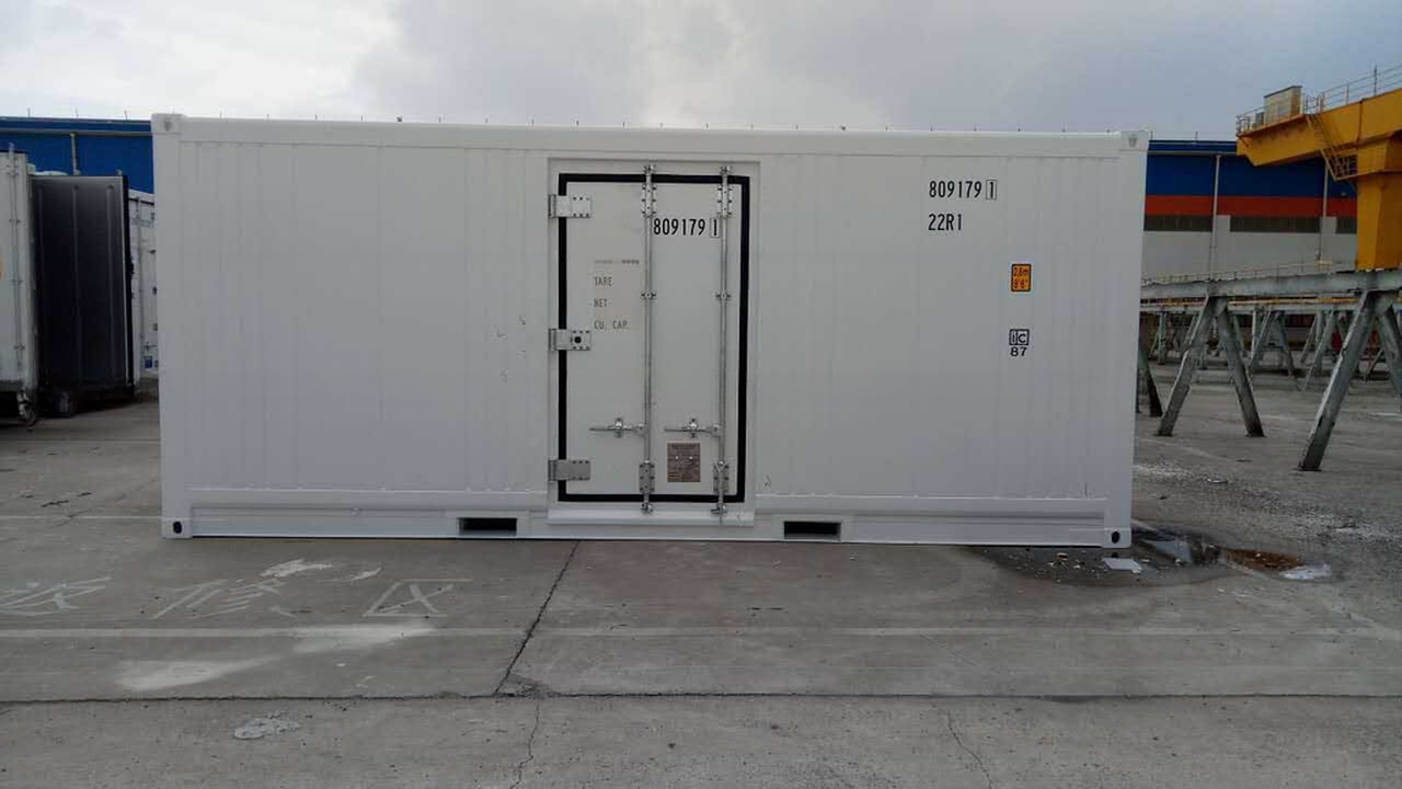 Carrier Cooler 20ft Reefer Container with Side Door Aluminum Bottom Thermo King Refrigerated Freezer