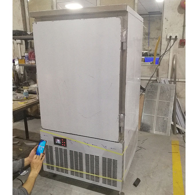 S/S201 10 Trays Tecumseh Commercial Blast Freezers