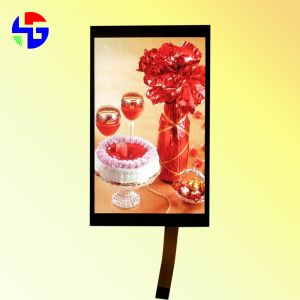 MIPI Interface 8 Inch Capacitive Touch Screen 45PIN TFT 1200x1920