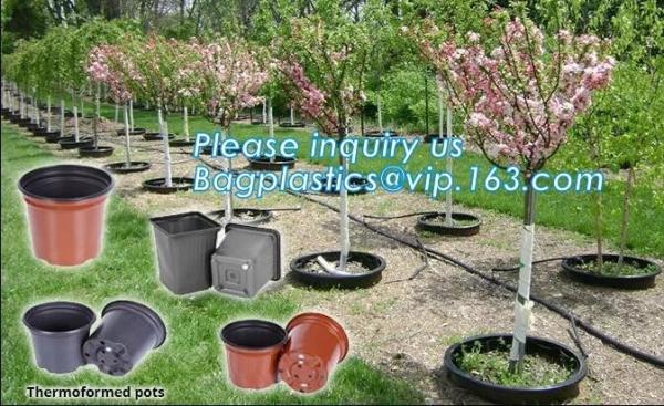 plastic pots for nursery plants clear orchid pots photo,1, 2, 2.5, 3, 5, 7, 10