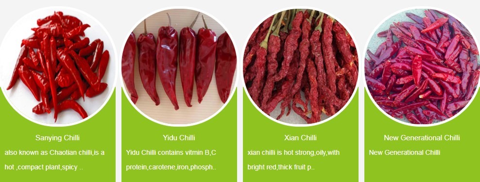 Block Shape Xian Chilli Seasoning Stemless Long Dry Red Chilli