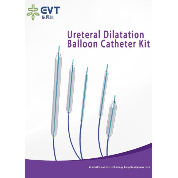 NMPA Cleared Ureteral Dilation Balloon Sterile Single Use With Hydrophilic