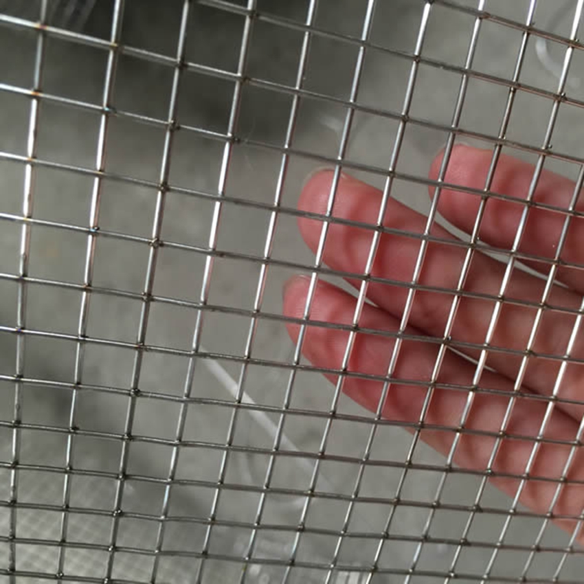 Stainless 6x6mm Welded Steel Wire Mesh Diameter 23 Gauge Hardware Cloth 1/4"X1/4"