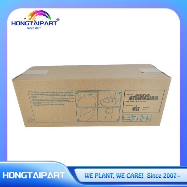Transfer Belt 862L A1DU-5042-03 A1DU504203 A50U510501 A1DU-5042-00 A1DU504200