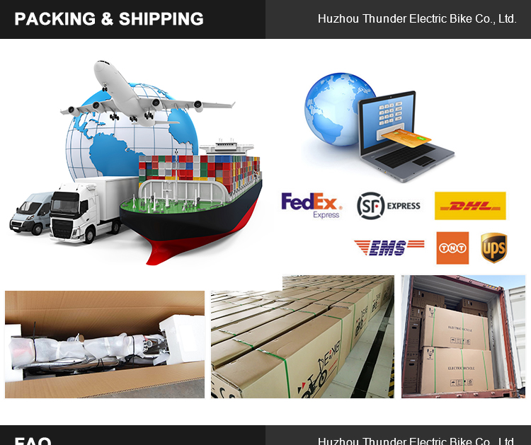 48V 12Ah 350W Electric Cargo Bike For Adults Power Supply Lead Acid Battery
