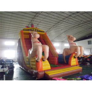 Merry-go-round Inflatable Slide (CYSL-07)