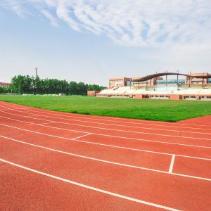 China Fire Resistant Sandwich System Running Track Moisture Proof playground on sale