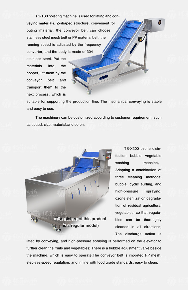 Multifunctional Vegetable And Fruit Processing Line Hair Roller Bubble Cleaning Production Line