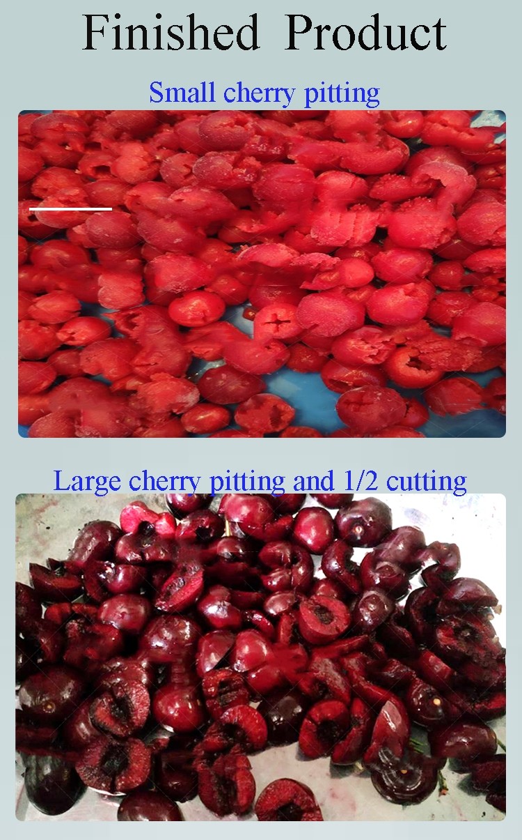 Commercial Fruit Core Seed Removing Cherry Pitting Machine