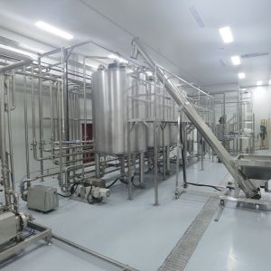 Automatic Pineapple Juice Beverage Processing Line PLC Intelligent Control