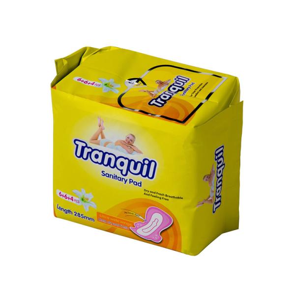 Oem Brand Name 6+6+4 pcs Anion Chip Women Pads Sanitary Pads Napkin Manufacturer