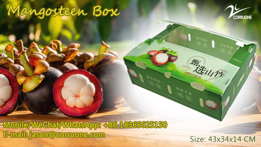 Embossing PP Vegetable Corrugated Boxes Rice Meat Corflute Box
