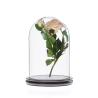 Buy cheap Preserved Rose Display Glass Homeware Cloche Cover with Black Wooden Base from wholesalers