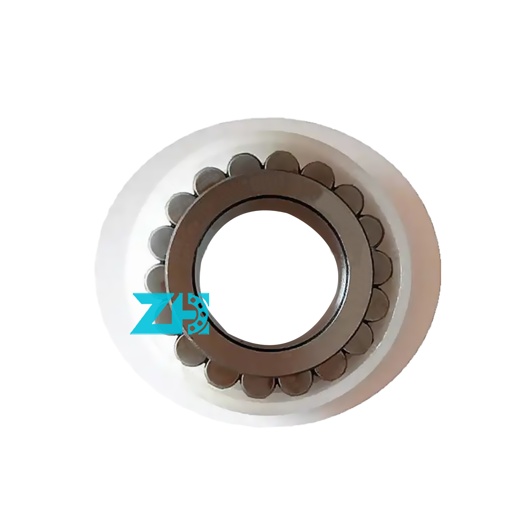 CPM2165 Cylindrical Roller Bearing 20X36.81X16mm Double Row Full Complement Bearing
