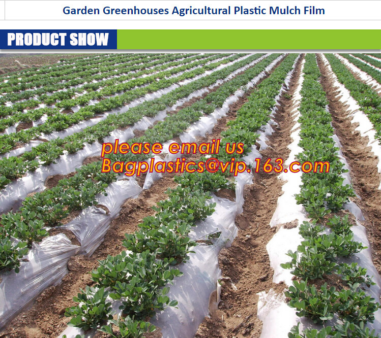 cheap and durable plastic colored anti mosquito netting/window insect screen,Industrial Agricultural Greenhouses use 2m
