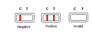 20pcs Rapid Immunochromatographic Test HCV Rapid Test Whole Blood