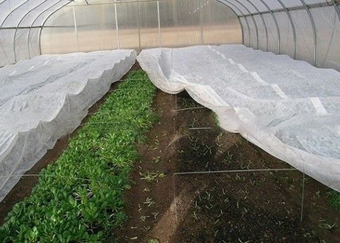 Biodegradable PP Spunbond Non Woven Fabric For Gardening