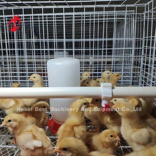 Poultry Farm Equipment H-Type Battery Chicken Cage System For Broiler Mia