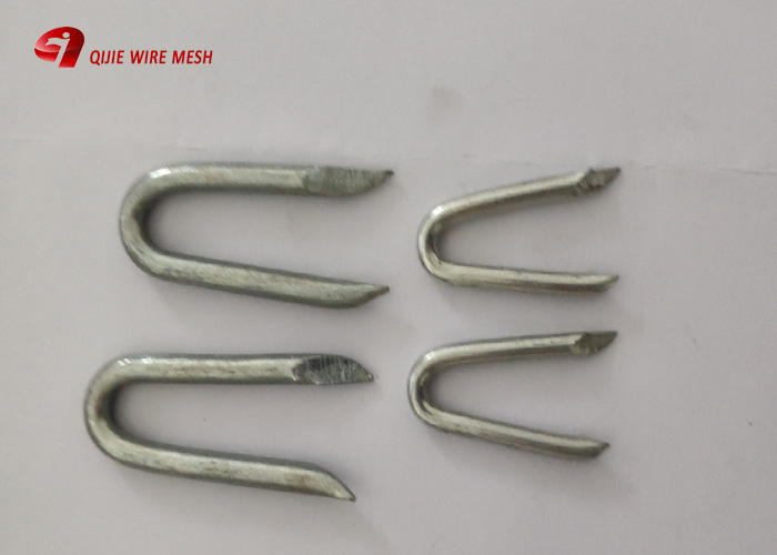HDG Fence Staples
