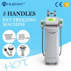  Top Sale Cryolipolysis Machine /Cryolipolysis Fat Freezing Machine /Cryolipolysis Slimming Machine Manufactures