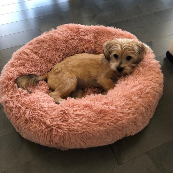 Fluffy Brown Pink Anti Anxiety Dog Bed 50cm 60cm 70cm Diameter Dog Mattress Bed