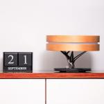  Tree of light wireless charging decorative atmosphere Portable Led Desk Lamp Flash Light Orange For living room Manufactures