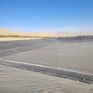 Excellent Chemical Resistance HDPE Geomembrane for Effective Seepage Control in