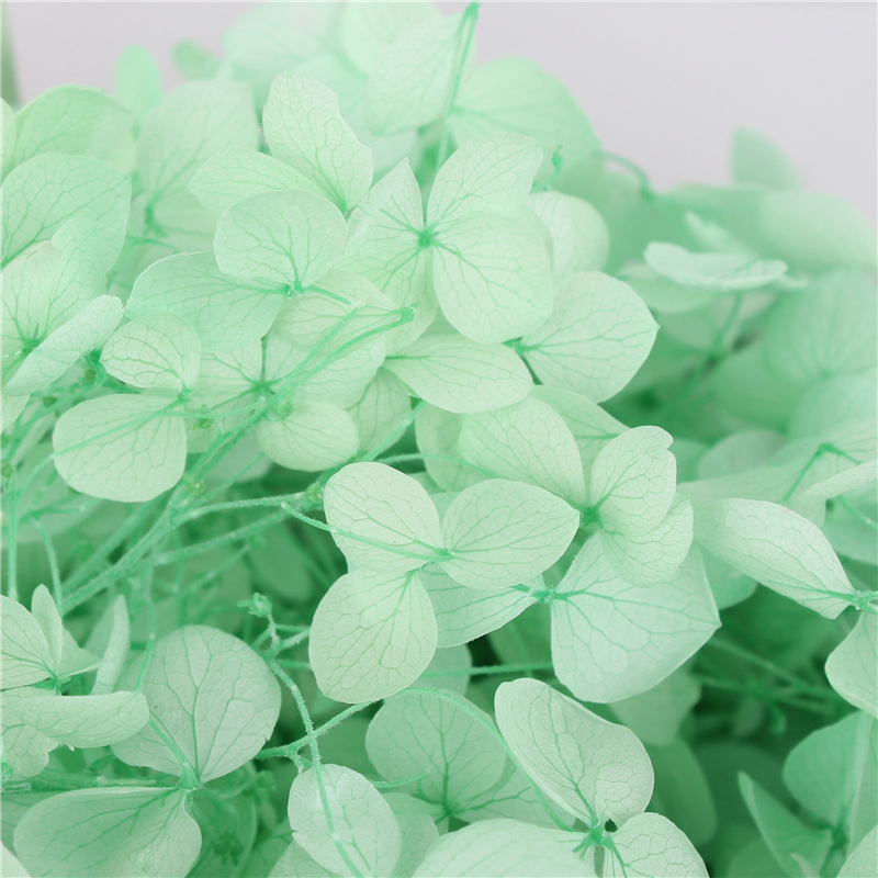 Beautiful A Grade Preserved Hydrangea Custom Color For Table Decoration