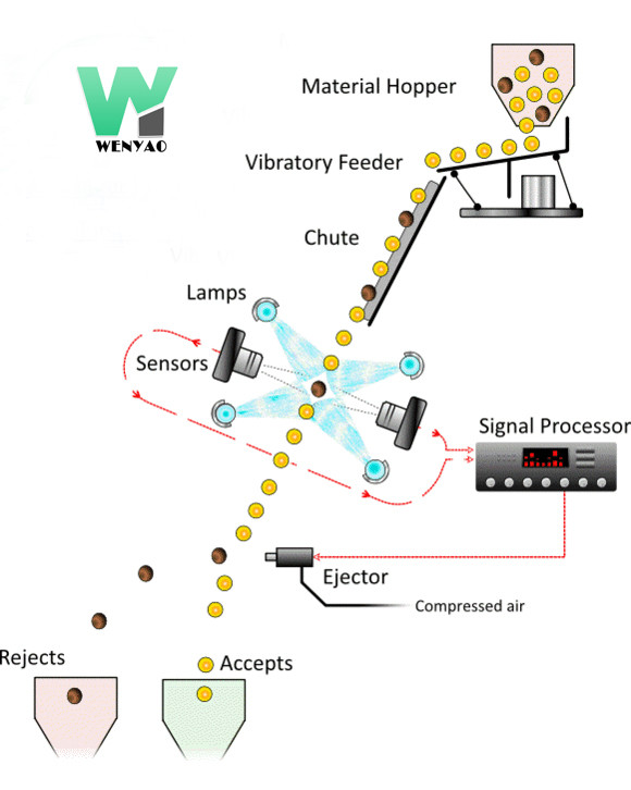 1 Chute 64 Channels CCD Camera Juniper Cardamom Color Sorter Machine With CE With WiFi Remote Control