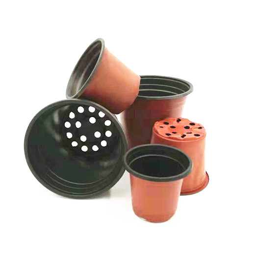 wholesale Two-color plastic flower pot for Orchid seeds