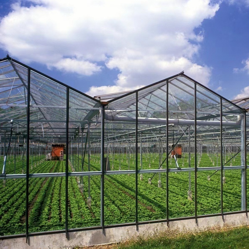 Glass Greenhouse with Hydroponics Growing System