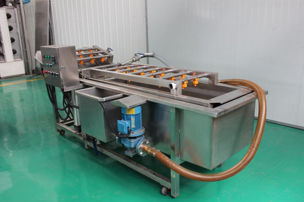 Full Automatic Bubble Food Cleaning Machine For Fruit And Vegetable Washing