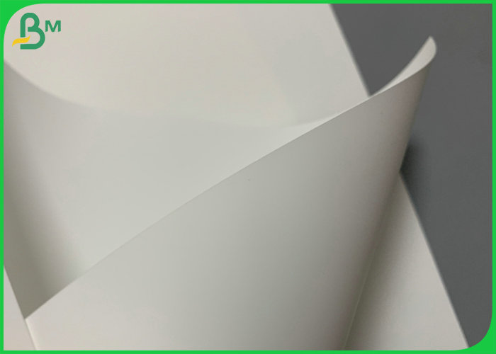 80um 100um Printed Waterproof Synthetic Paper Roll For QR Code Label 700 x 1000mm