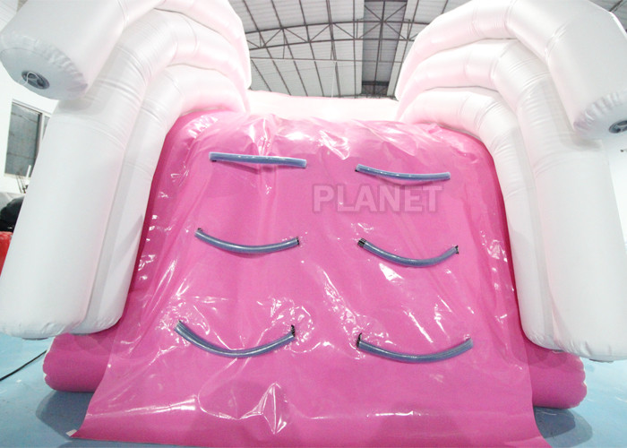 Iso9001 Pink Airtight Inflatable Yacht Water Slide For Boat
