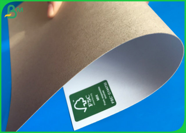 One Side White Duplex Board Roll Custom Size 230GSM 250GSM 300GSM Good Stiffness