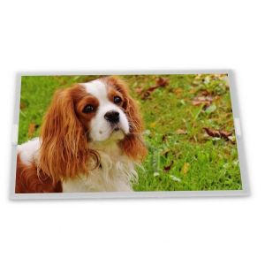  5.7-Inch WLED LCD Display Module TX14D203VM0BPA RGB Interface LED Modules Monitor ODM Supplier Manufactures