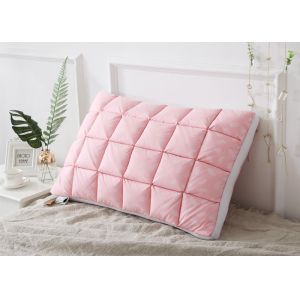 40S 48cm Goose Down And Goose Feather Pillows