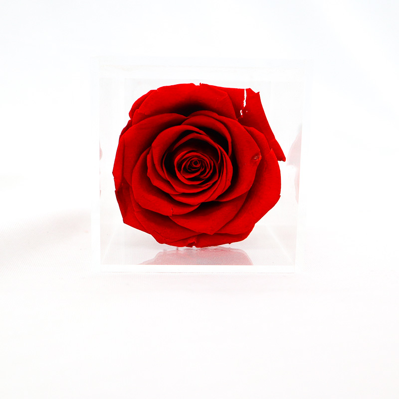 Decorative Beautiful Preserved Rose Flower With No Pollen / No Allergy