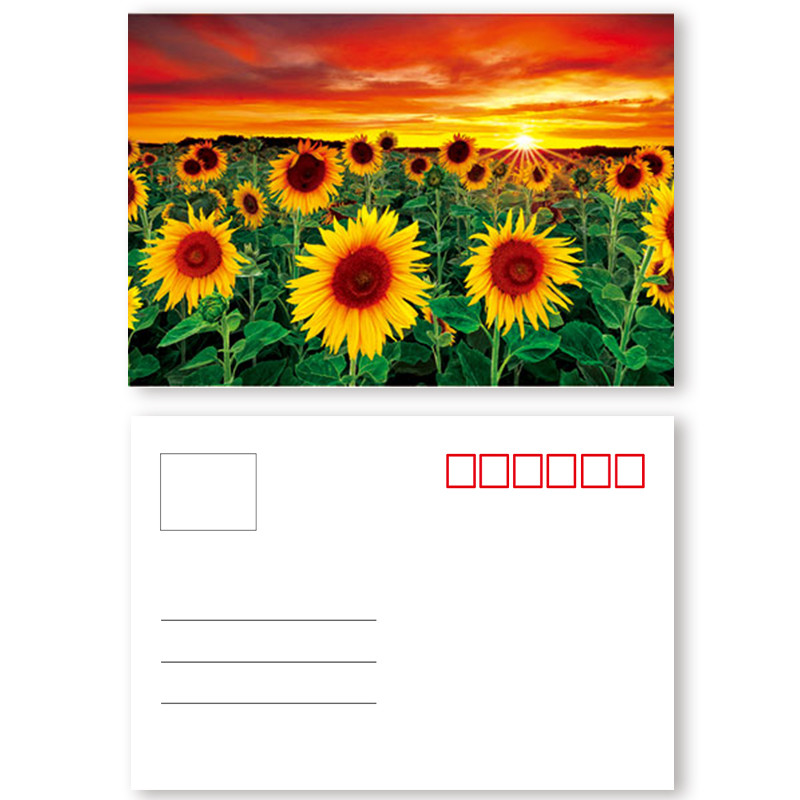 Landscape Theme 3D Lenticular Postcard 0.6mm PET + 157g Coated Paper Material