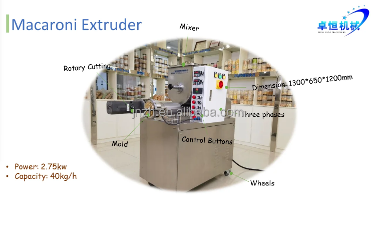 ZHUOHENG 's Energy-saving Industrial Macaroni Making Machine for Pasta Production