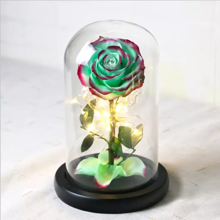 Beauty and the beast preserved rose in glass real rose preserved