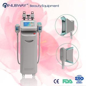 Cryolipolysis Body Contouring Machine / two handles can work together