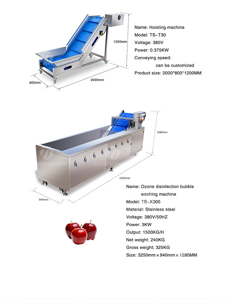 165MM Belt Industrial Vegetable Processing Machine Fruit Selection Washing Cutting Machine