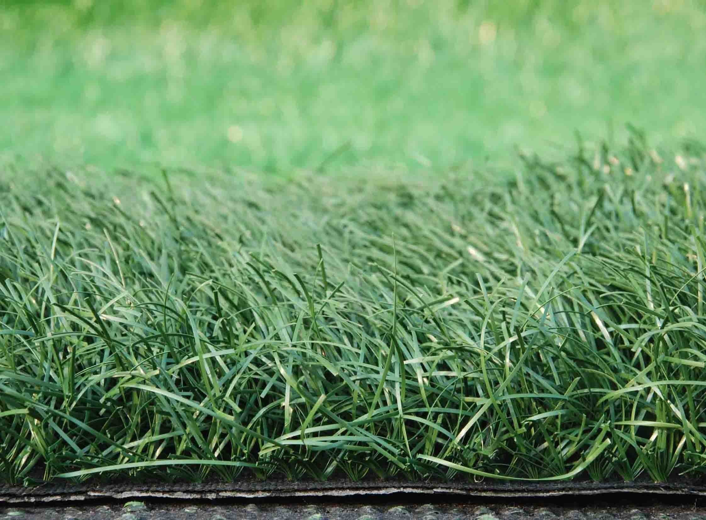 Low Maintenance Environmental Friendly Olive Green Football Artificial Grass Used For Pets Children And Adults Sports